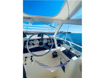 Bertram Yacht 28' Moppie