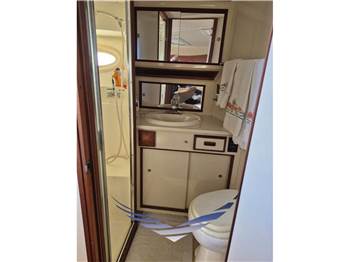 Bertram Yacht 38' Special