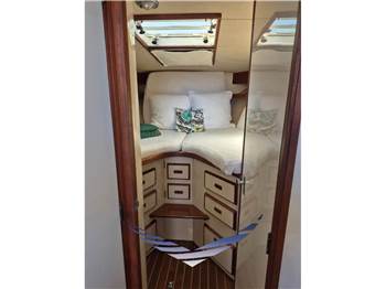 Bertram Yacht 38' Special