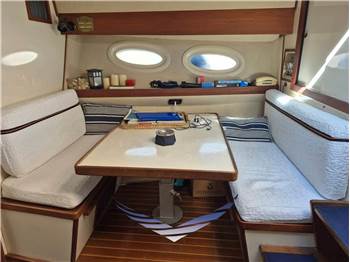 Bertram Yacht 38' Special
