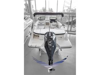Sea Ray 210 SPXE