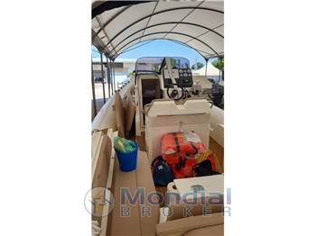 NUOVA JOLLY PRINCE 33