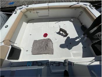 BOSTON WHALER 31L