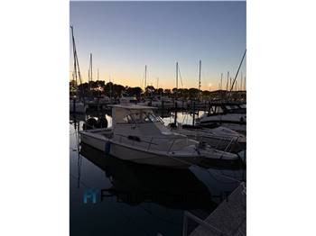 BOSTON WHALER 25 WA