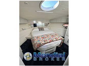 GIORGI 46 Open