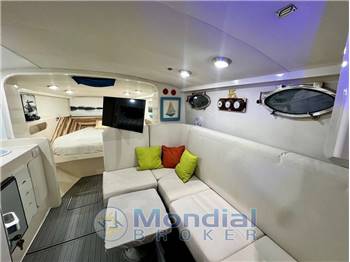 C.N. SQUALO SHARK 36
