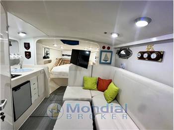 C.N. SQUALO SHARK 36