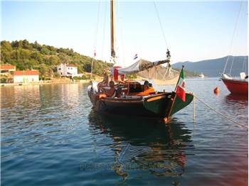 Patrone Sciarrelli Winsome 35