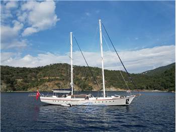 Custom Goletta Nautilus Goletta 38