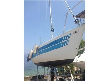 Nautivela menestrello