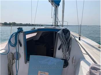 Nautivela menestrello