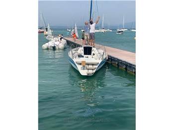 Nautivela menestrello