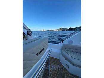Salpa Soleil 28