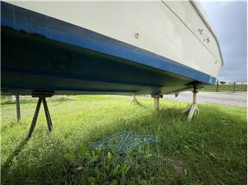 Sea Ray 230 DA