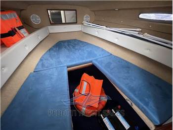 Sea Ray 230 DA