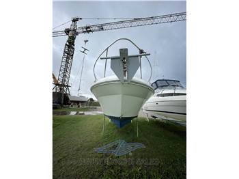 Sea Ray 230 DA