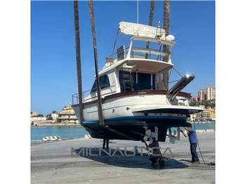 Sciallino 34' Fly