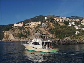VIKING YACHT COMPANY VIKING 51