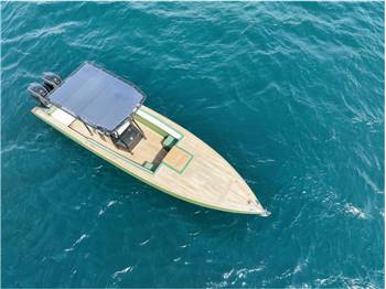 WELLCRAFT SCARAB 30 SCARAB 30