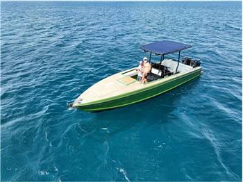 WELLCRAFT SCARAB 30 SCARAB 30
