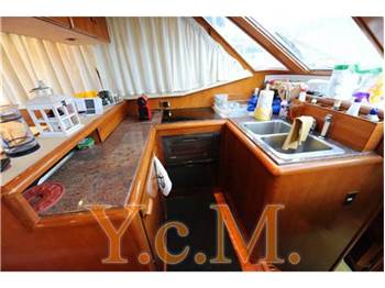 Gold island Aquarius 42,1