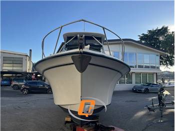 GRADY WHITE 25 SAILFISH