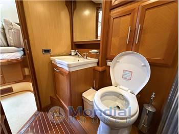 Mochi Craft 54 Dolphin