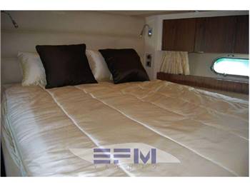 SUNSEEKER PREDATOR 60