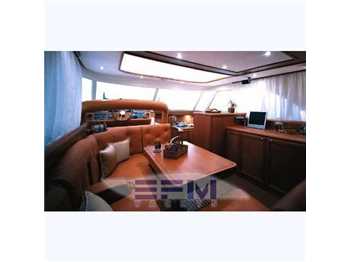 Mochi Dolphin 51