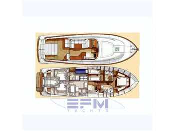 Mochi Dolphin 51