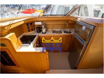 Mochi Craft 51 Dolphin