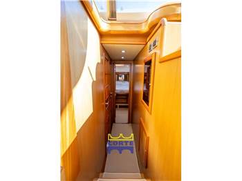 Mochi Craft 51 Dolphin