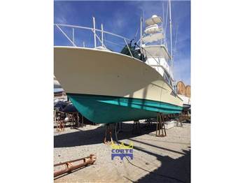Viking 50
