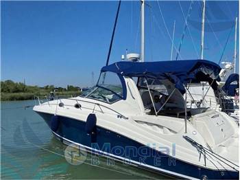 Sea Ray Sundacer 375