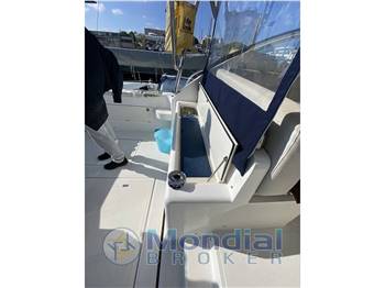 starmarine starmarine 36