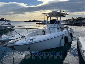 BOSTON WHALER 270 OUTRAGE