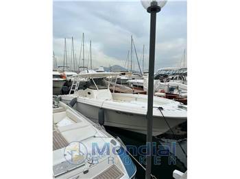 WELLCRAFT 35 SCARAB SPORT Tournament