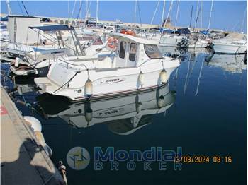 Quicksilver Arvor 215