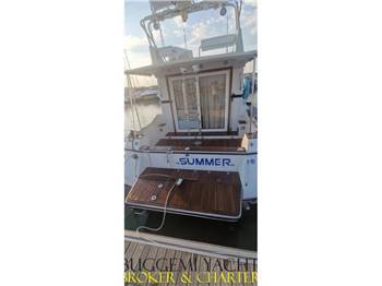 ARS MONACO ARS MARE RS 31 FLY