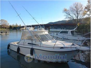 Tuccoli Ivano T 280 Moby Dick Open