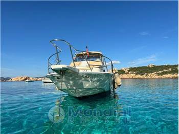 Boston Whaler 25 REVENGE