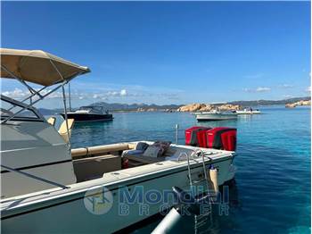 Boston Whaler 25 REVENGE