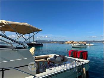 Boston Whaler 25 REVENGE