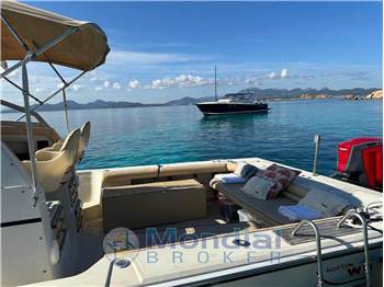 Boston Whaler 25 REVENGE