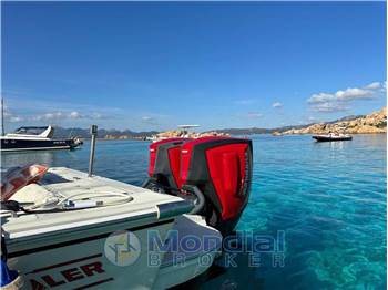 Boston Whaler 25 REVENGE