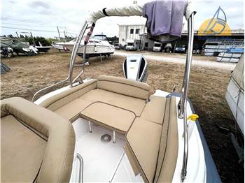 Salpa Soleil 23