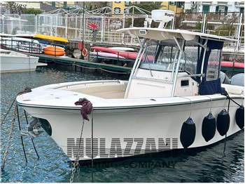 Grady White Boats 306 Bimini CC