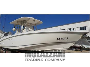Boston Whaler OUTRAGE 320