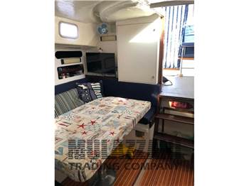 Classis Lady  Laura 35