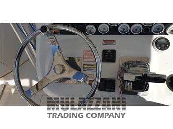 Boston Whaler OUTRAGE 320